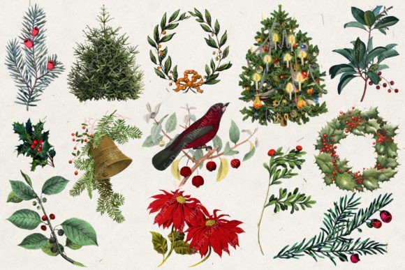 Vintage Christmas Greenery Clip Art for Illustrations